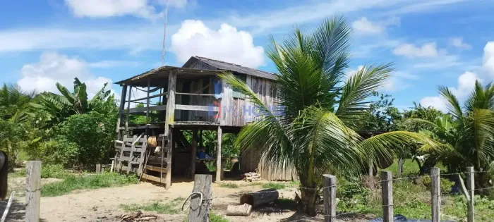 Fazenda à venda, rural, Canavieiras, BA