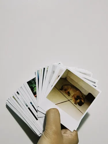 Revelação Fotos Polaroids Sorocaba