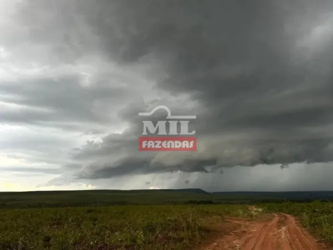 Fazenda 4.890 Alqueires (23.667 Hectares) Lagoa do Tocantins - TO