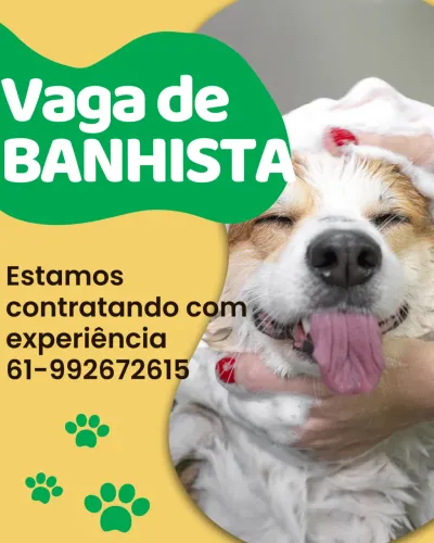 Banhista auxiliar Veterinário 