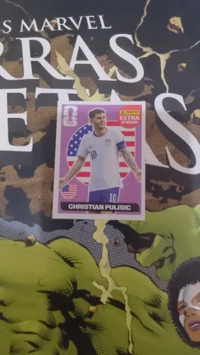 CHRISTIAN PULISIC BORDO 