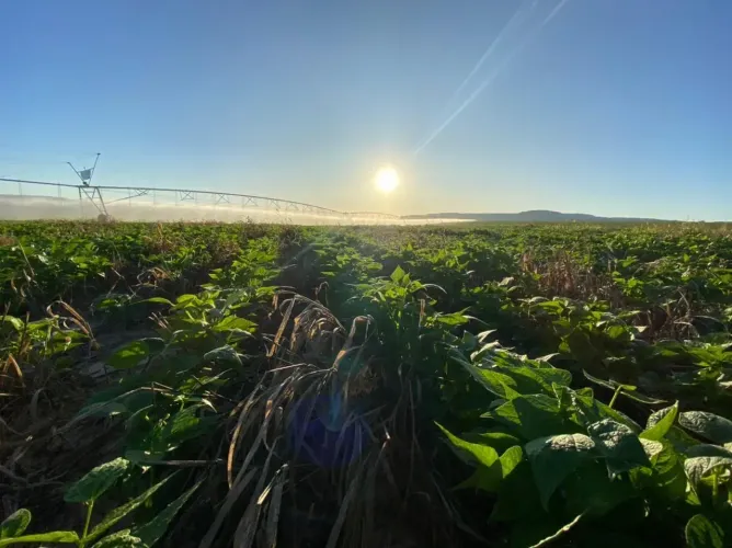 Fazenda a venda, em Novo Jardim - Tocantins!