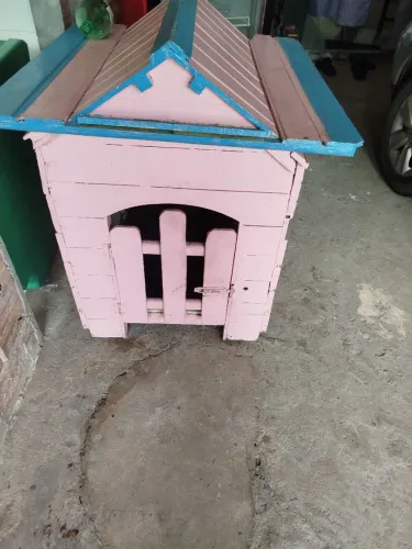 CASINHA PRA CACHORRO