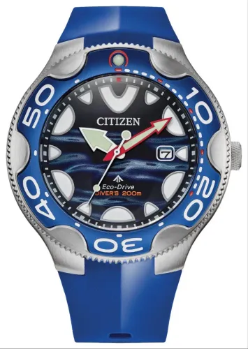 Citizen Orca aqualand