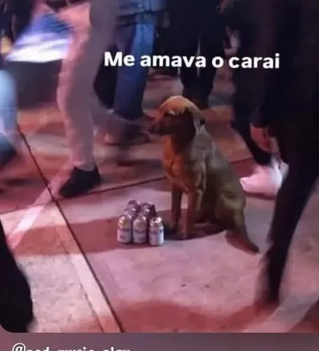 Sou Servente de pedreiro 
