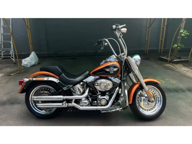 Harley-davidson Fat boy flstf 2015
