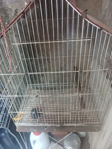 Gaiola pra passarinhos 