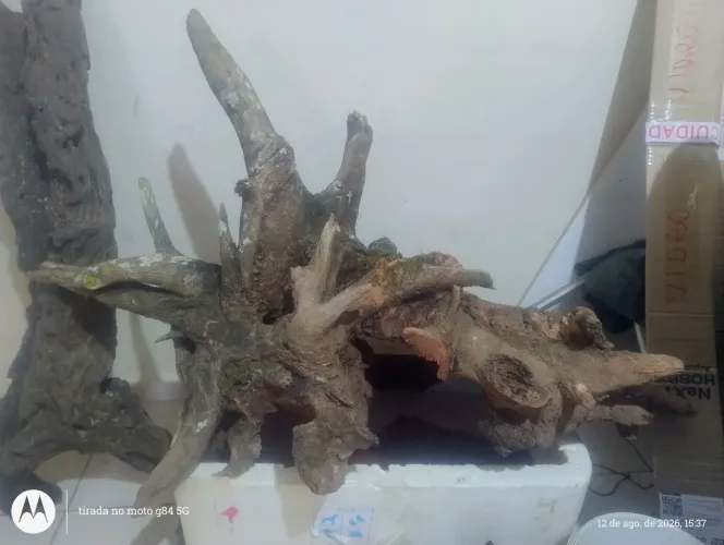 Vendo vendo tronco grande para aquário