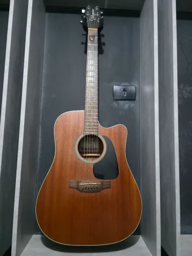 Takamine GD11