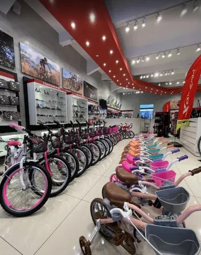 Loja Pronta para Motos Elétricas e Scooters