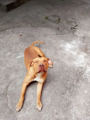 Doação 
