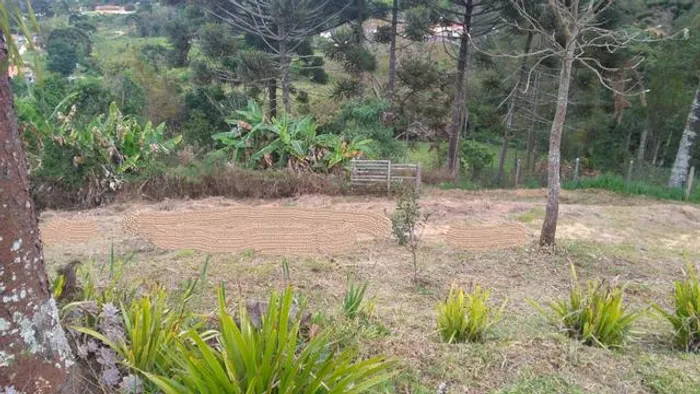 Chácara com 3.000 m2 em Delfim Moreira, MG. Aceito carros na troca!