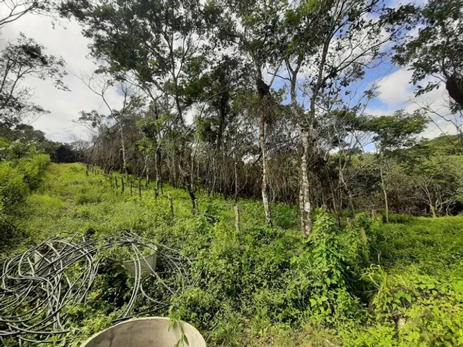 LOTES ENTRE MULUNGU E GUARAMIRANGA 