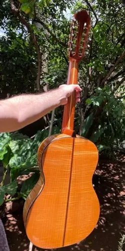 Viola Luthier Dida