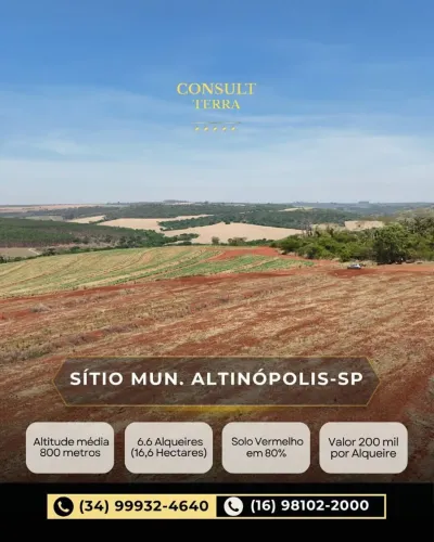 Sítio Altinópolis-SP/ Plantio de café. Alta Mogiana-SP 