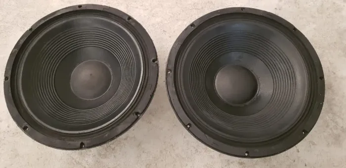 2 (par) ALTOFALANTES PROFISSIONAIS SELENIUM WPU 1505 8?