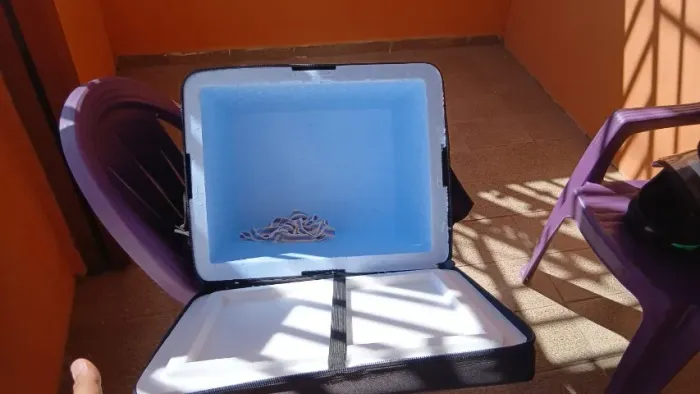 MOCHILA DE ENTREGA COM ISOPOR (BAG) 