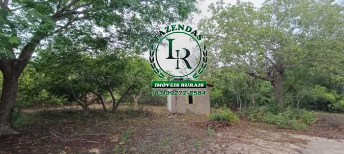 Chácara Luzimangues Próximo ao Santa Luzia