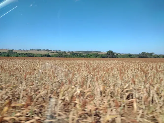 Fazenda à venda de 1.015 ha região de Urbelândia-MG
