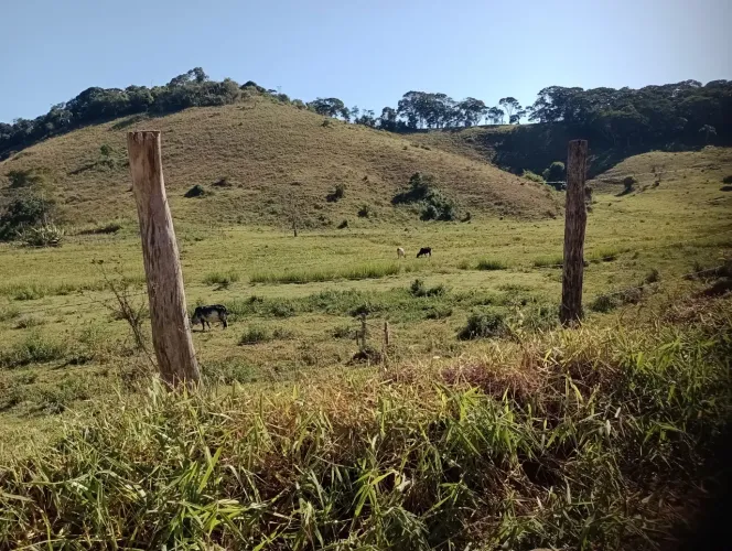 Fazenda com 200 hectares
