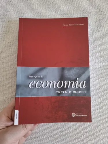 Livro Princípios de economia, de Tebchirani, Flávio Ribas.