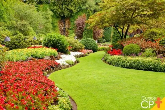 Jardineiro: Limpeza de Terreno, Poda e Manutenção