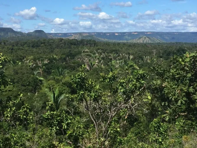 Fazenda para Venda em Miracema do Tocantins