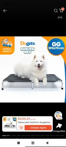 Cama suspensa elevada para cães cachorros Tam GG