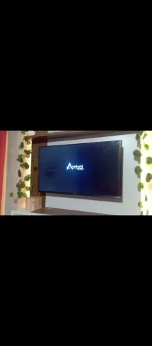 Televisão