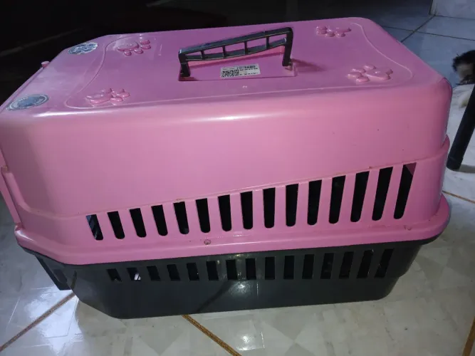 Vende-se caixa pra pet