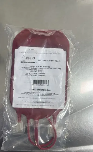 Bolsa de sangue cachorro