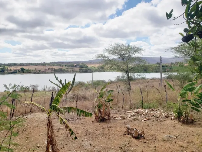 Fazenda com 250 hectares, Barragem Tabocas, Caruaru.