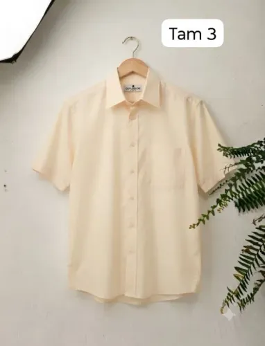 Camisas seminovas 