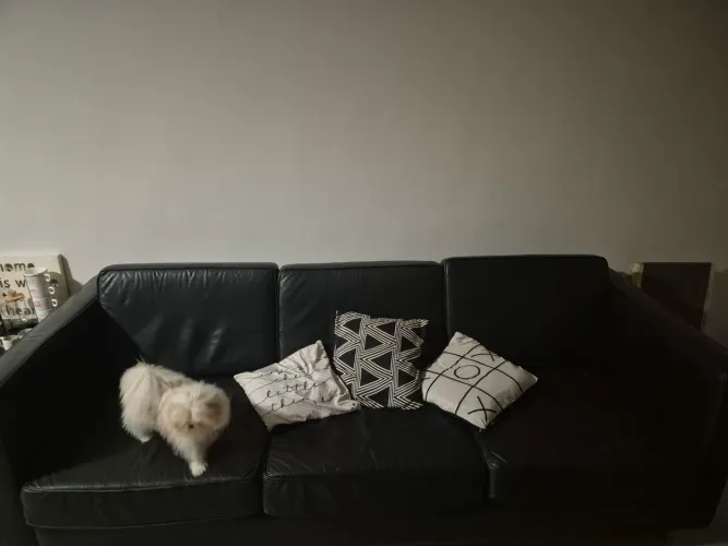 VENDO SOFA DE COURO LEGITIMO EM OTIMO ESTADO