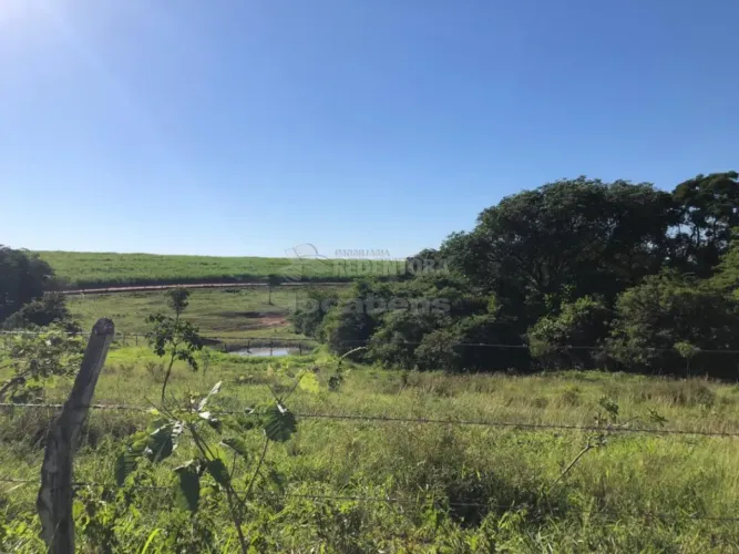 Fazenda de 23,25 Alqueires Rica em Água e Pastagem