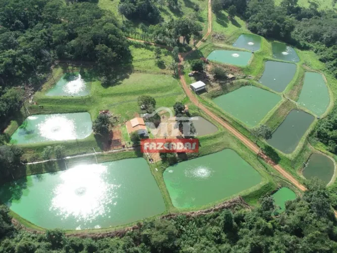 Propriedade de Piscicultura a 135 km de Goiânia