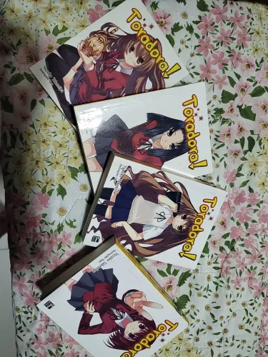Taradora Light Novel Vol 1 a 4