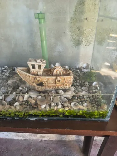 Aquário para peixe 