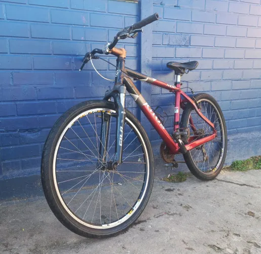 Vendo gios