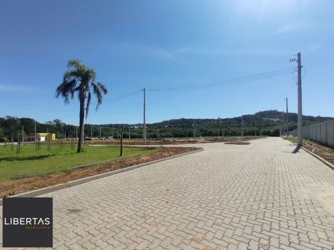 Terreno à venda Campo Novo Porto Alegre/RS