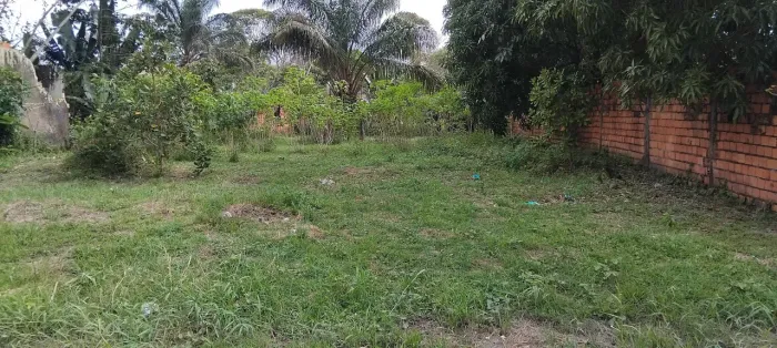Terreno