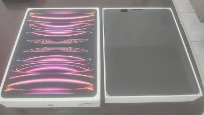 iPad Pro 256 GB  12.9 Pol  geração 06 WI FI