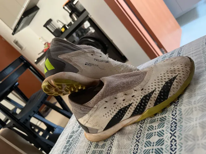 Chuteira Predator adidas