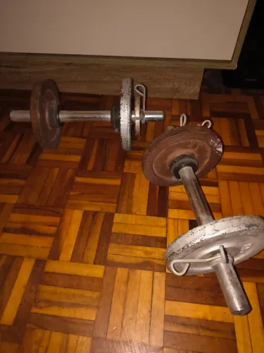 Halteres