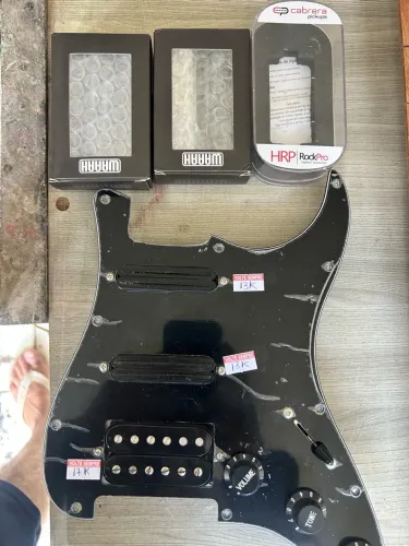 Escudo stratocaster completo