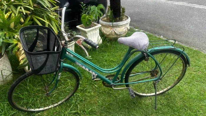 Bicicleta adulto Caloi Brisa 