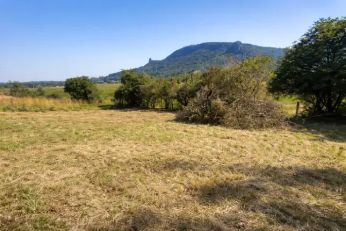 TERRENO 2.000m² NA RS-020 - IDEAL PARA CHÁCARA - R$ 138 MIL