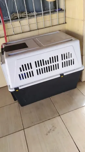 Caixa transparente cachorro médio porte