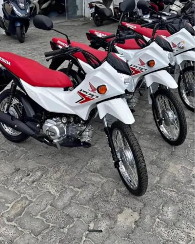 ALUGO POP 2025 
