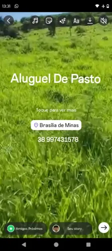 Aluguel de Pasto